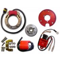 Športna elektrika - HPI inner rotor - Rotax 122 - Aprilia Classic ,MX ,RS ,  RX