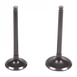 Intake valve and exhaust valve for GY6 4 stroke 125cc