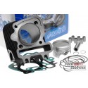 Cylinder kit Polini cast iron sport 79cc 49mm for Piaggio 50 4T 2V
