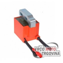 Ignition coil SELETTRA A2 analg