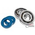 Shaft bearings and seals DR Teflon, Aprilia / Derbi / Gilera (EBE / EBS / D50B)