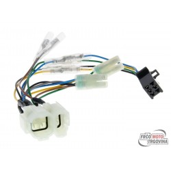 Adapter cable for on board diagnostics display Naraku for Asian double plug
