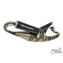 exhaust system Tecnigas TRIOPS for Peugeot horizontal