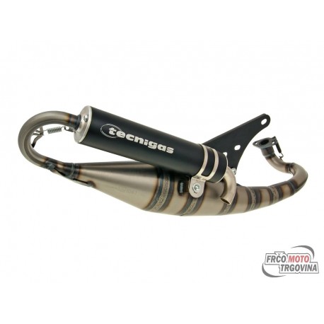 exhaust system Tecnigas TRIOPS for Peugeot horizontal