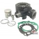Cylinder kit 50cc for Peugeot Speedfight 3/4 LC , Jet Force C-Tech 2013-