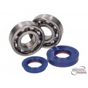 Set of bearings and oil seals Polini Racing polymide - Minarelli -CPi-Keeway