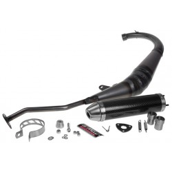 Exhaust  Giannelli Strada Carbon (E-pass) Yamaha TZR ,MBK Power 