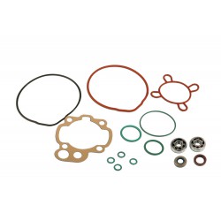 Ball bearings SKF kit and cylinder gaskets for Minarelli AM 50cc