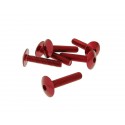 Fairing screws hex socket hed - Alu Red M6x30   (6 pcs)