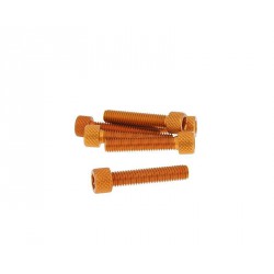 Hexagon socket screw - alu. orange M6x30   (6 pcs)