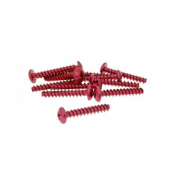 Fairing screws anodized alu. red M5x30  - 12 pcs.