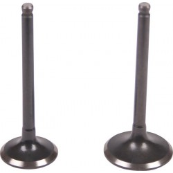 Intake valve and exhaust valve GY6 4T  150