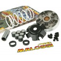 Variomat Malossi Multivar 2000 Piaggio 50cc od godine 1998-