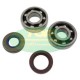 Set bearings + oil seals TOP Performance -AM6 -SKF