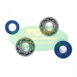 Set bearings + oil seals -Top Performance - AM6
