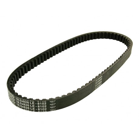 drive belt Dayco for Scarabeo, Torpedo, Liberty