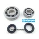 Bearing Kit + Oil Seals Olympia -Piaggio Hyper - 50cc ( from 2005)
