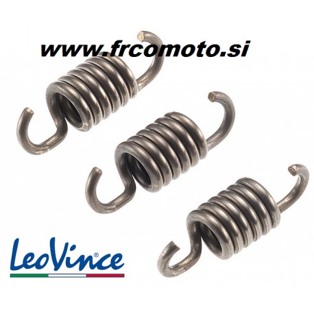 Clutch springs  - Leovince ZX - Minarelli